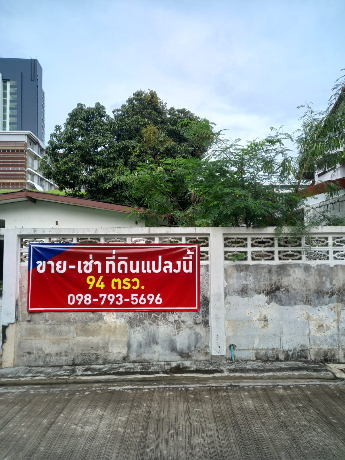 บ้านให้เช่า/ขายในซอยสุขุมวิท 64! – รูปที่ 3