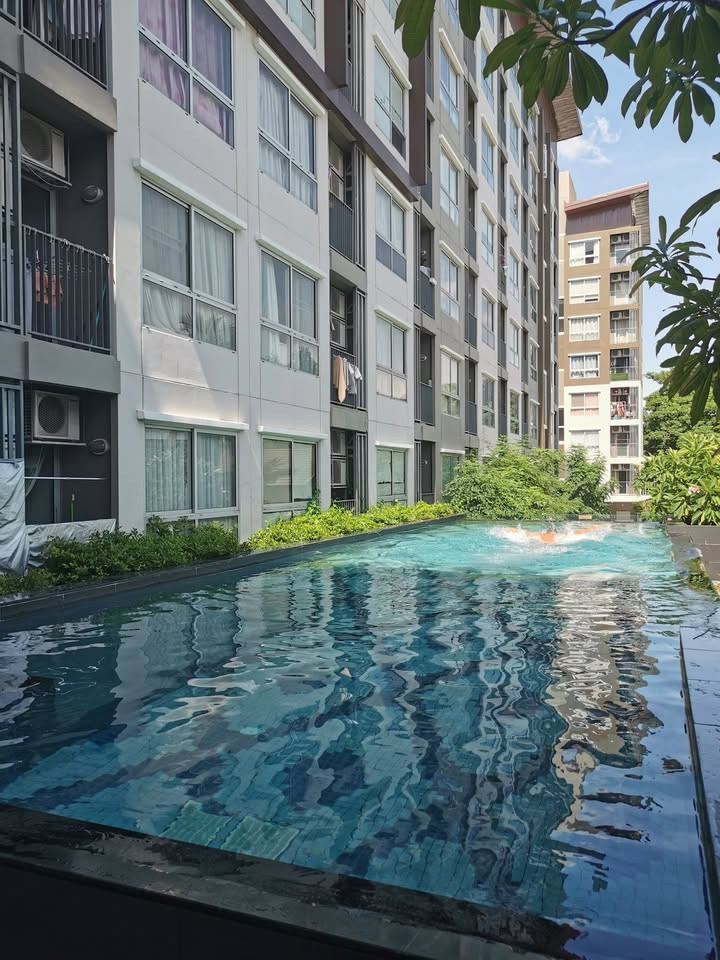ขาย PLUM CONDO BANGKAE  ราคาพิเศษเพียง  1.09 ล้าน พร้อมเข้าอยู่  – รูปที่ 4