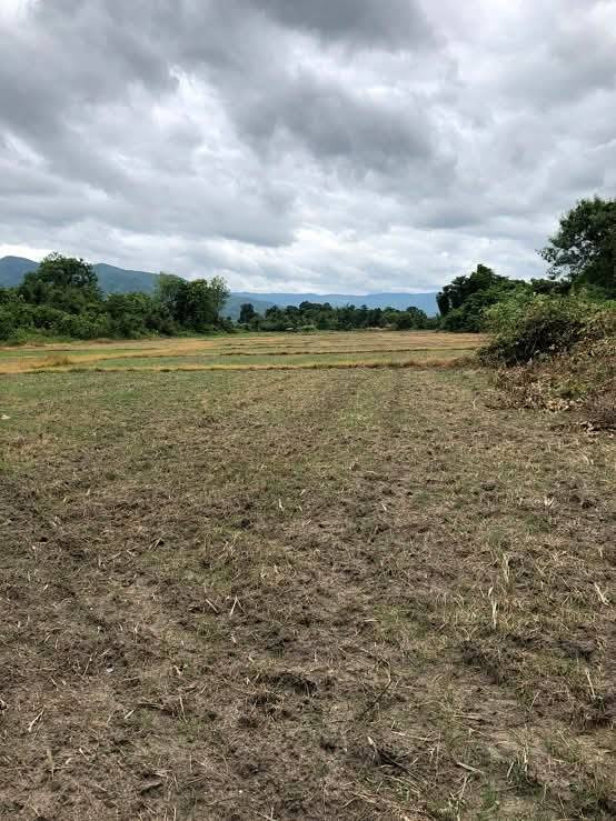 Beautiful large plot of land for sale, 26-3-47 rai, Doi Tao, Chiang Mai. – รูปที่ 2