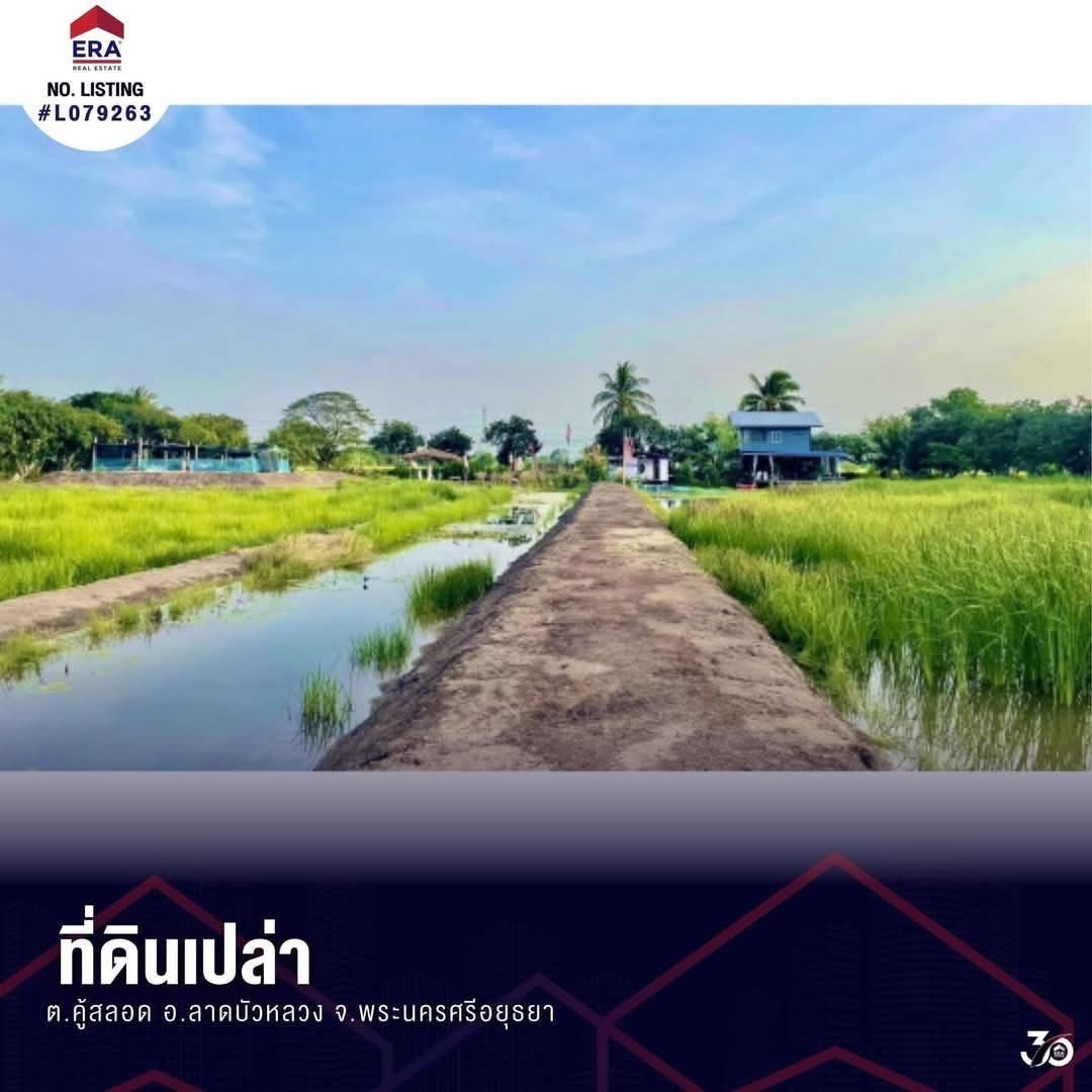 ขายที่ดินเปล่า ต.คู้สลอด อ.ลาดบัวหลวง จ.พระนครศรีอยุธยา ติดร้านอาหารซามูไรโฮม – รูปที่ 3