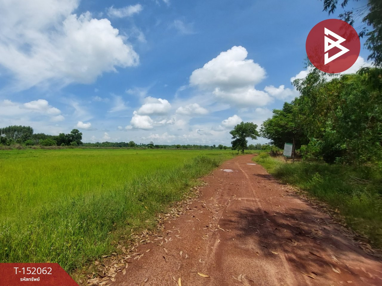 Rice field land for sale, area 19 rai 1 ngan 33 sq m, Chomsri Phen, Udon Thani. – รูปที่ 3