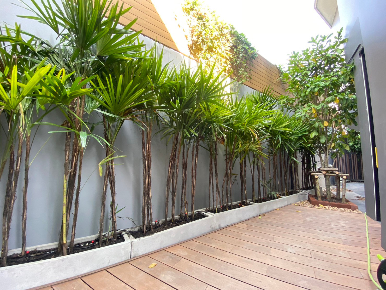 🟢 Private Residence for rent, luxurious 5 floors, Pet-Friendly, for long term contract. Welcoming tenants of all nationalities. – รูปที่ 2