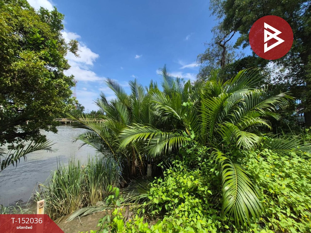 Land for sale, area 64 square meters, Mueang Samut Songkhram Next to Mae Klong Canal – รูปที่ 2