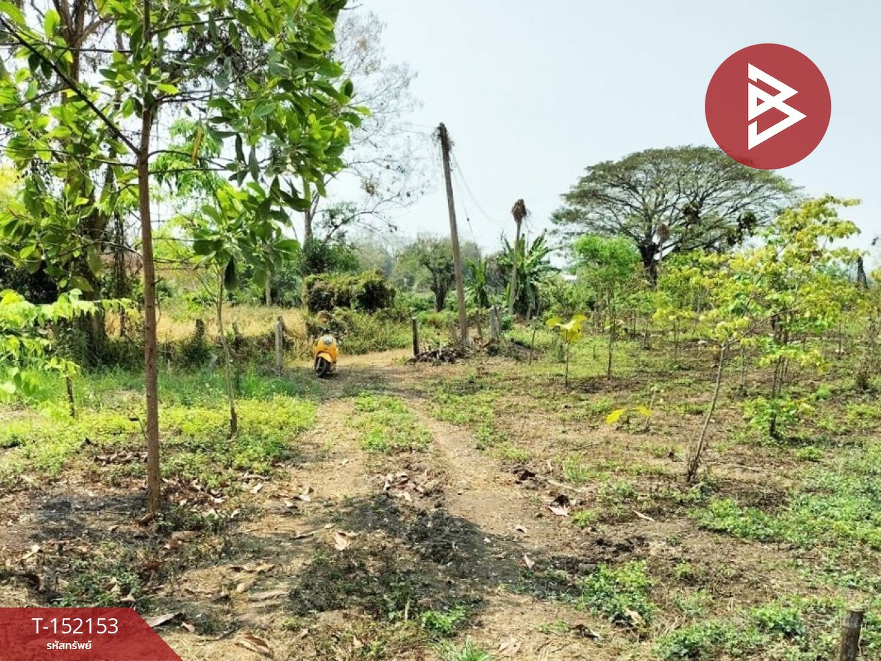 Land for sale, area 6 rai 1 ngan 8 square wa, Chiang Saen District, Chiang Rai Province. Land for sale, area 6 rai 1 ngan 8 square wa, Chiang Saen District, Chiang Rai Province.