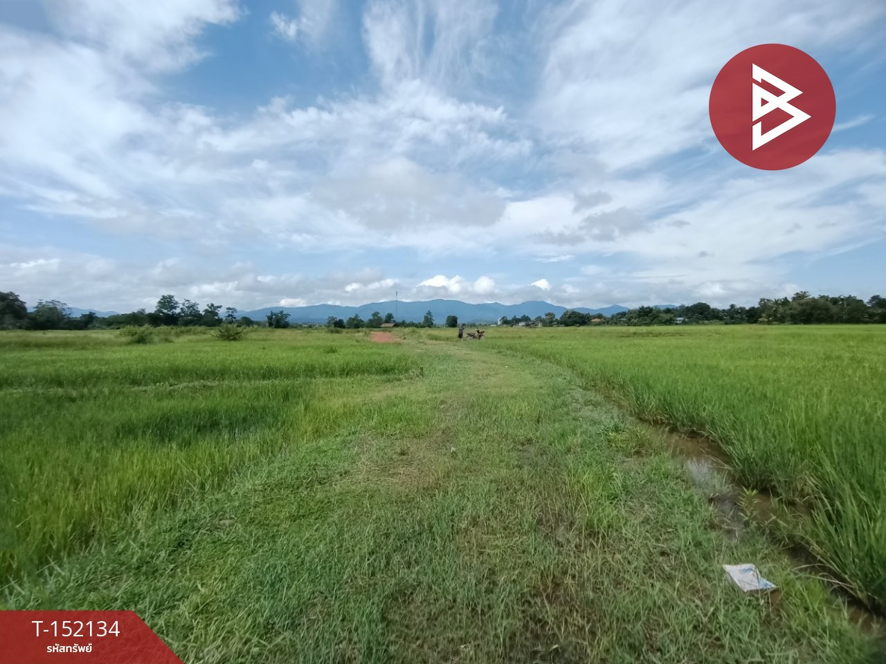 Land for sale, area 2 ngan 88 sq m, Chaiyasathan, Nan. Land for sale, area 2 ngan 88 sq m, Chaiyasathan, Nan.