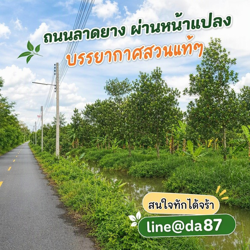 ขายสวนพร้อมโรงเรือน 1 หลัง 5 ไร่ ขายด่วน หนองเสือ ปทุม – รูปที่ 4