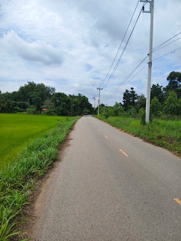 Beautiful plot of land facing a paved road. – รูปที่ 2