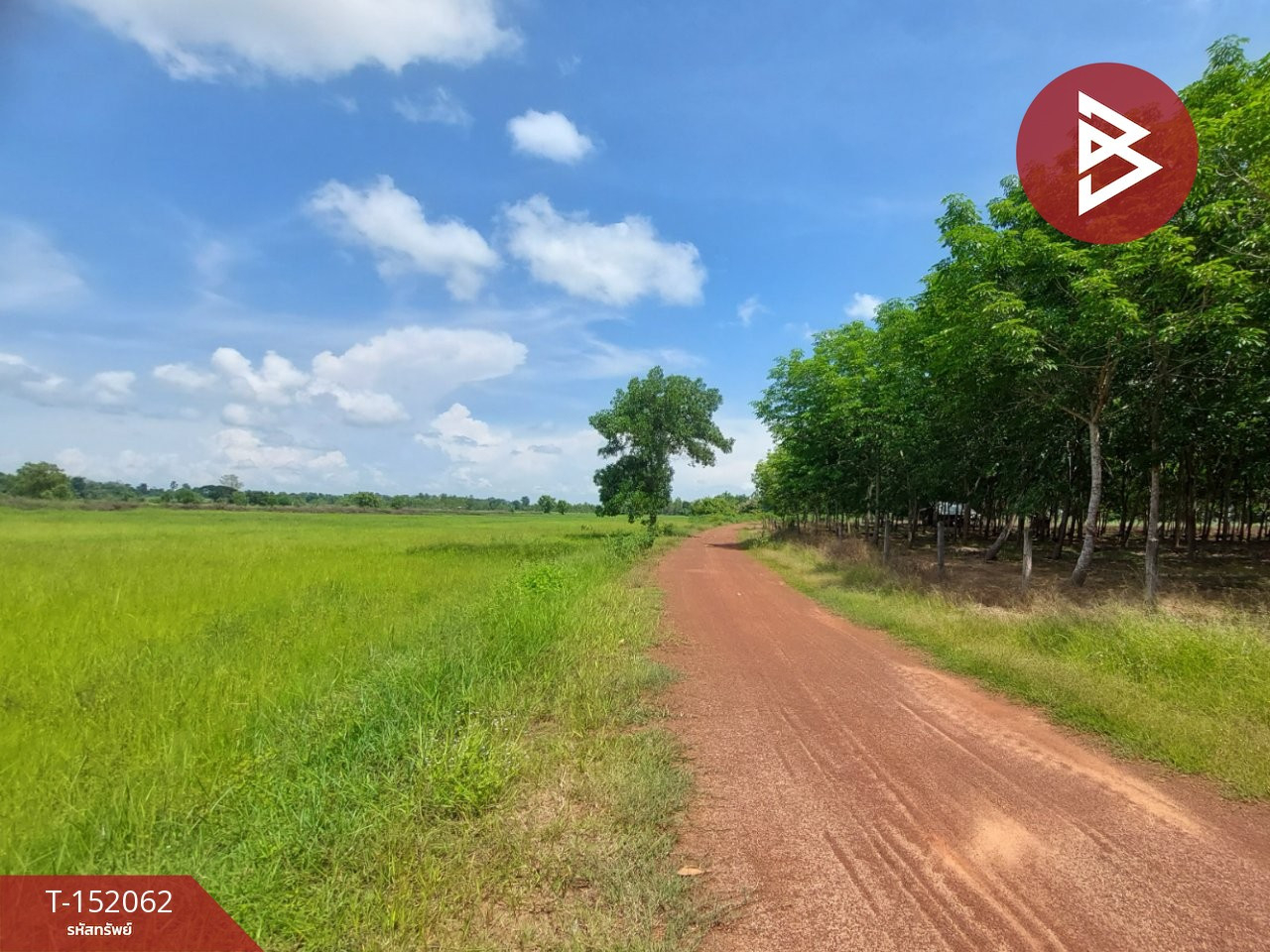 Rice field land for sale, area 19 rai 1 ngan 33 sq m, Chomsri Phen, Udon Thani. – รูปที่ 2