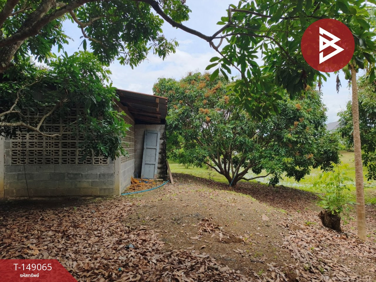 Longan orchard land for sale with resort style wooden house, area 3 rai 21 sq m, Chanthaburi, good location. – รูปที่ 4