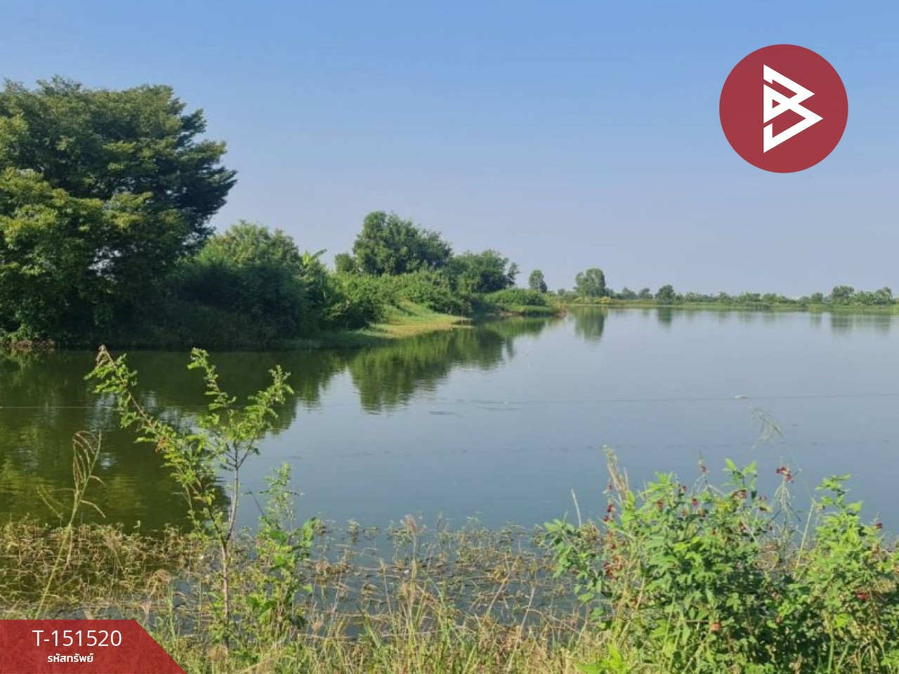 Land for sale with fish pond, area 45 rai 3 ngan 68.5 square wah, Ban Sang, Prachinburi, suitable for farming.