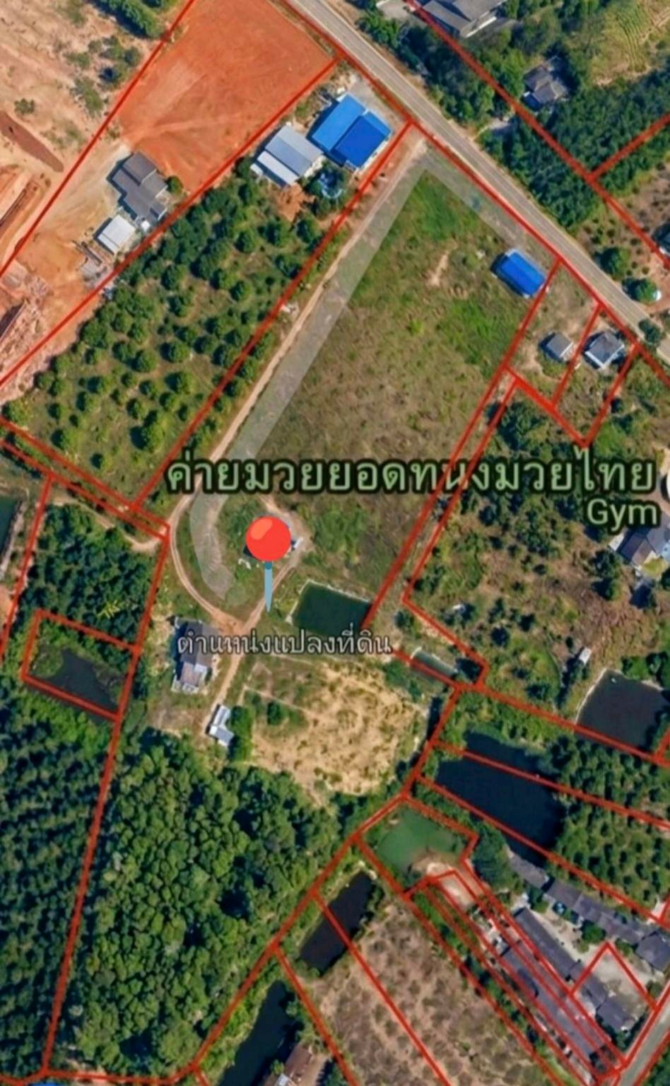 Fruit orchard for sale, 19 rai, Chak Don, Klaeng, Rayong, 250 durian trees, 320 mangosteen trees, installments direct to . – รูปที่ 2