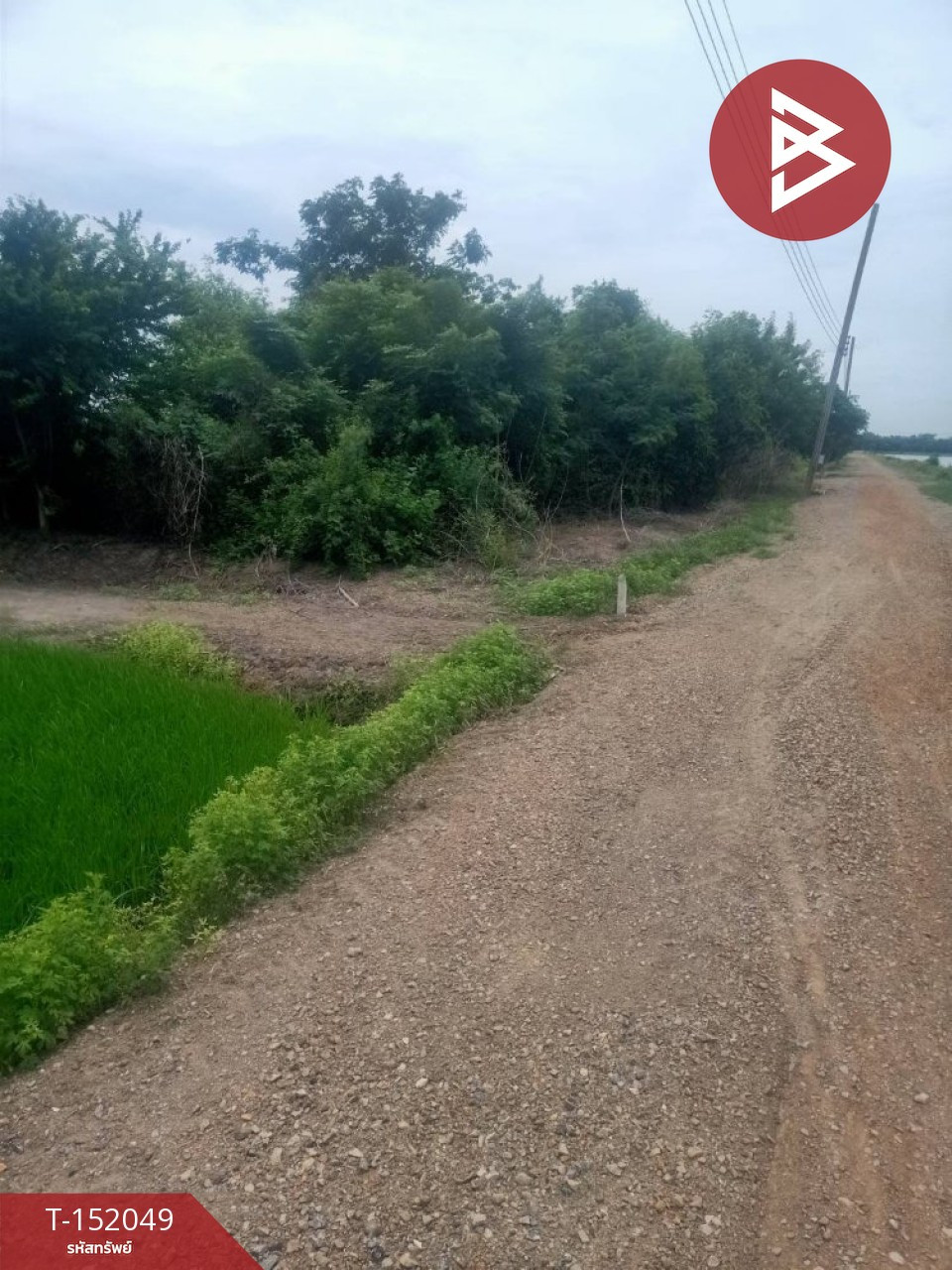 ขายที่ดิน เนื้อที่ 1 ไร่ ราษฎร์นิยม นนทบุรี – รูปที่ 4