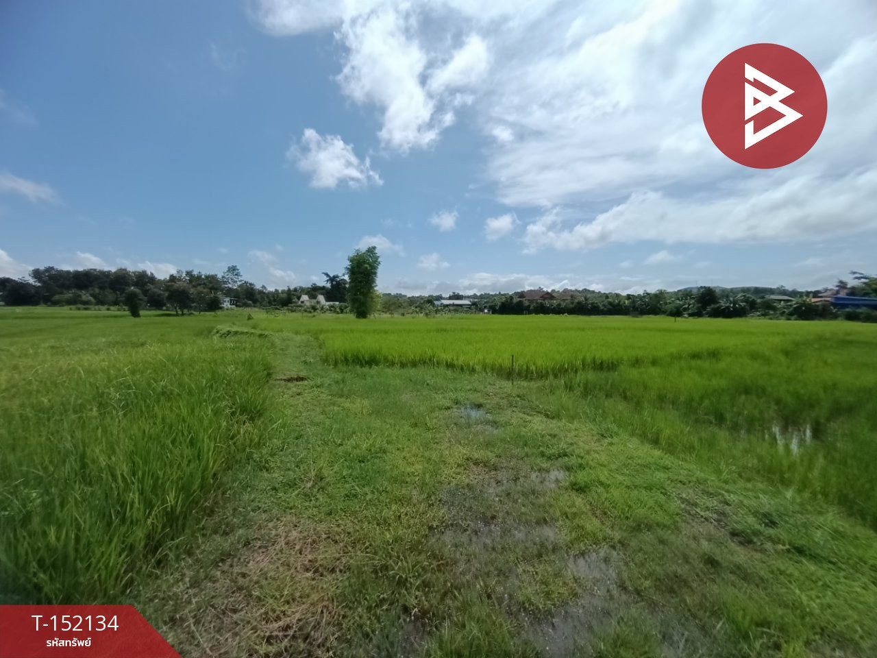 Land for sale, area 2 ngan 88 sq m, Chaiyasathan, Nan. – รูปที่ 2