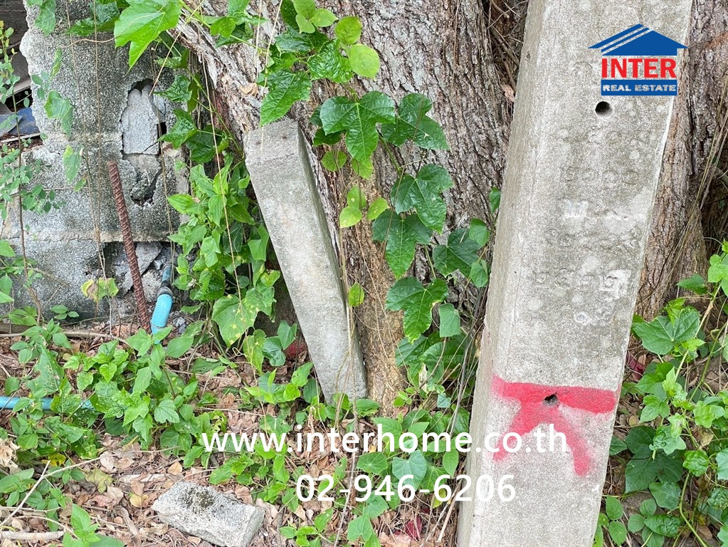 ที่ดินเปล่า 198 ตร.ว. ที่ดิน ซอยสุวินทวงศ์51 แยก1 ถนนสุวนทวงศ์ ถนนซอยสุวินทวงศ์51 เขตหนองจอก กรุงเทพมหานคร  – รูปที่ 4