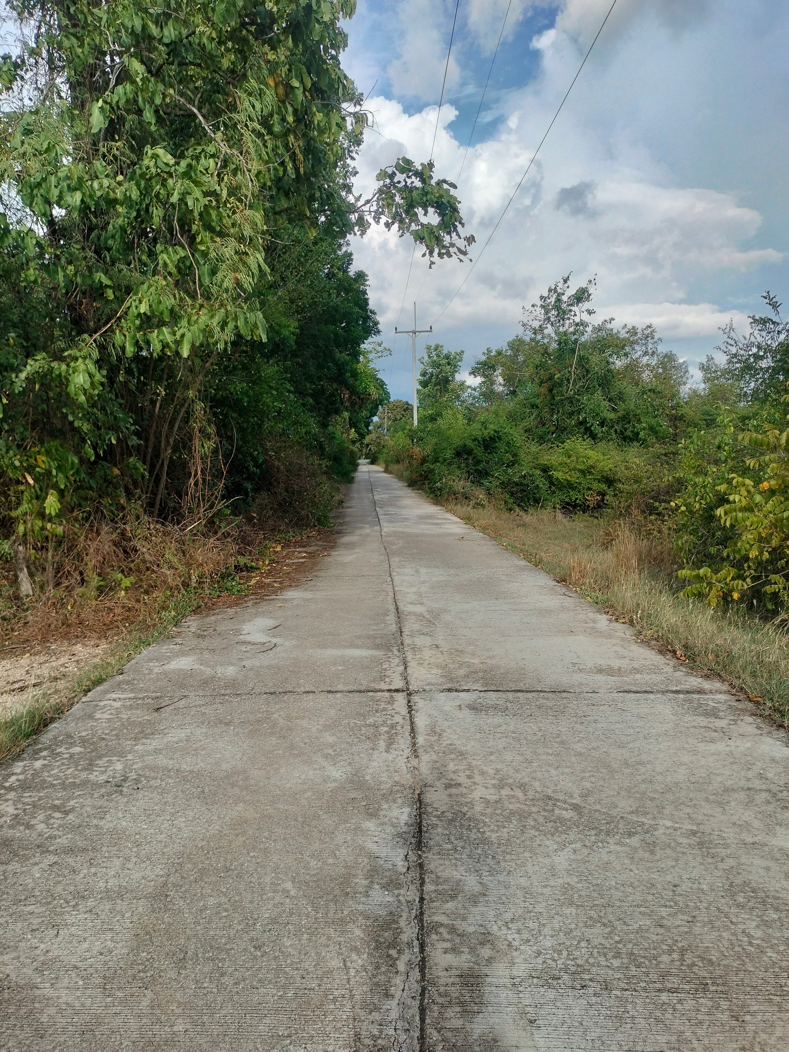 ขายที่ดินทำเลดีติดถนนพหลโยธิน – รูปที่ 3