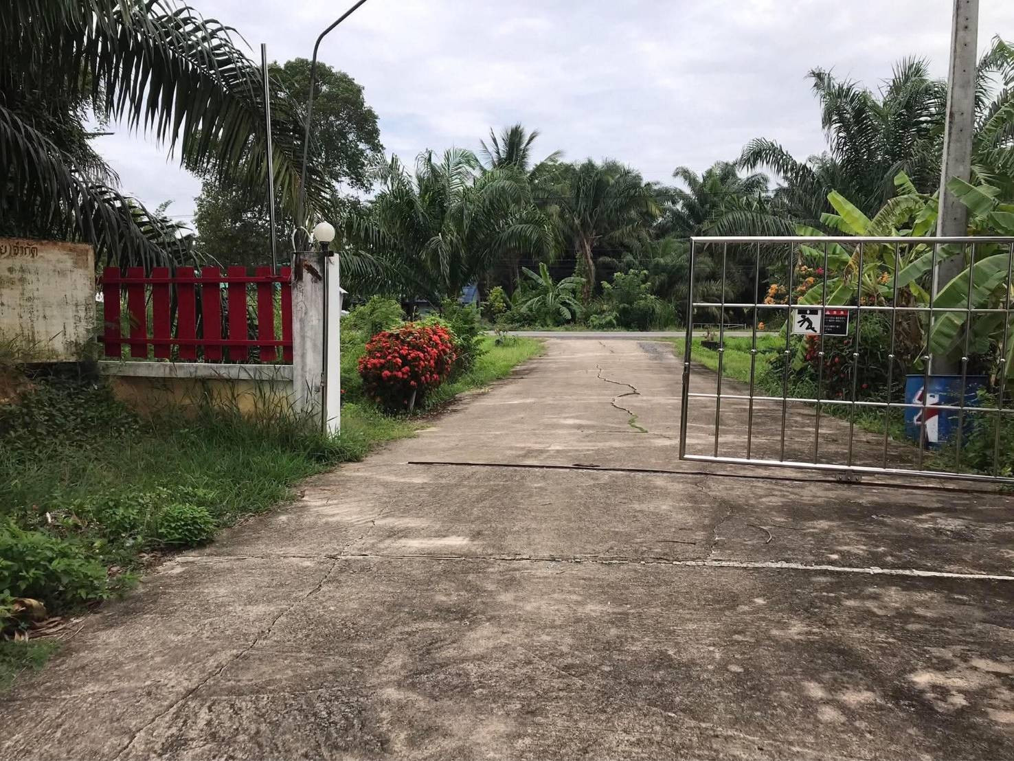 Selling very cheap!! Land + building + warehouse, size 25 rai, good location, Kanchanadit District, Surat Thani Province. Near Mueang Surat Thani District – รูปที่ 3