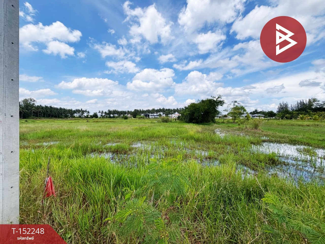 ขายที่ดิน เนื้อที่ 2 งาน 50 ตร.วา เจดีย์หัก ราชบุรี – รูปที่ 4
