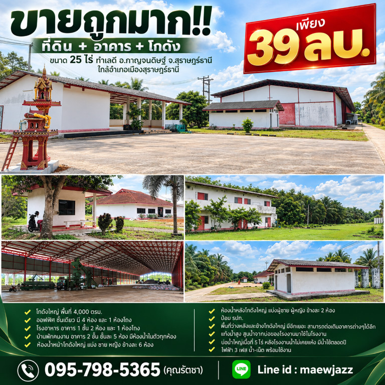 Selling very cheap!! Land + building + warehouse, size 25 rai, good location, Kanchanadit District, Surat Thani Province. Near Mueang Surat Thani District Selling very cheap!! Land + building + warehouse, size 25 rai, good location, Kanchanadit District, Surat Thani Province. Near Mueang Surat Thani District