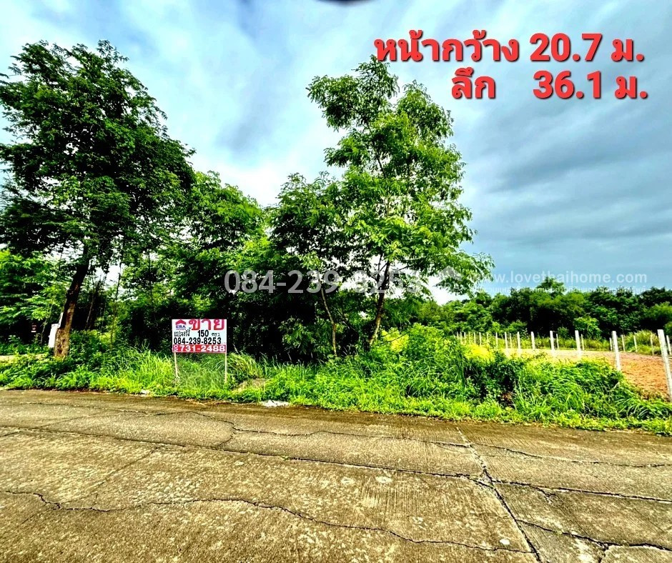 ขายที่ดินหนองจอก ถ.ประชาสำราญ (ซ.ลำลูกกา196) แปลงมุม 150 ตรว. ราคา 1.15 ล้าน ทำเลดี เหมะสำหรับสร้างบริษัท,โกดัง และบ้านพักอาศัย – รูปที่ 2
