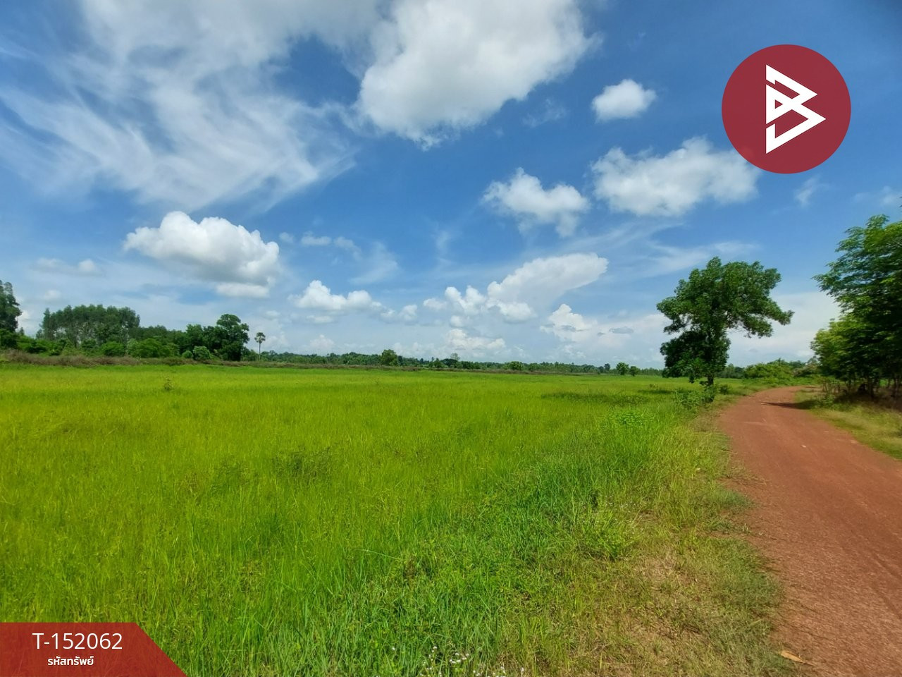 Rice field land for sale, area 19 rai 1 ngan 33 sq m, Chomsri Phen, Udon Thani. Rice field land for sale, area 19 rai 1 ngan 33 sq m, Chomsri Phen, Udon Thani.