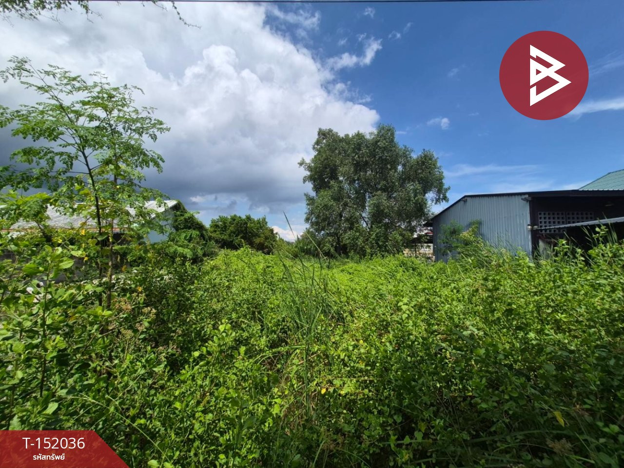 Land for sale, area 64 square meters, Mueang Samut Songkhram Next to Mae Klong Canal – รูปที่ 3
