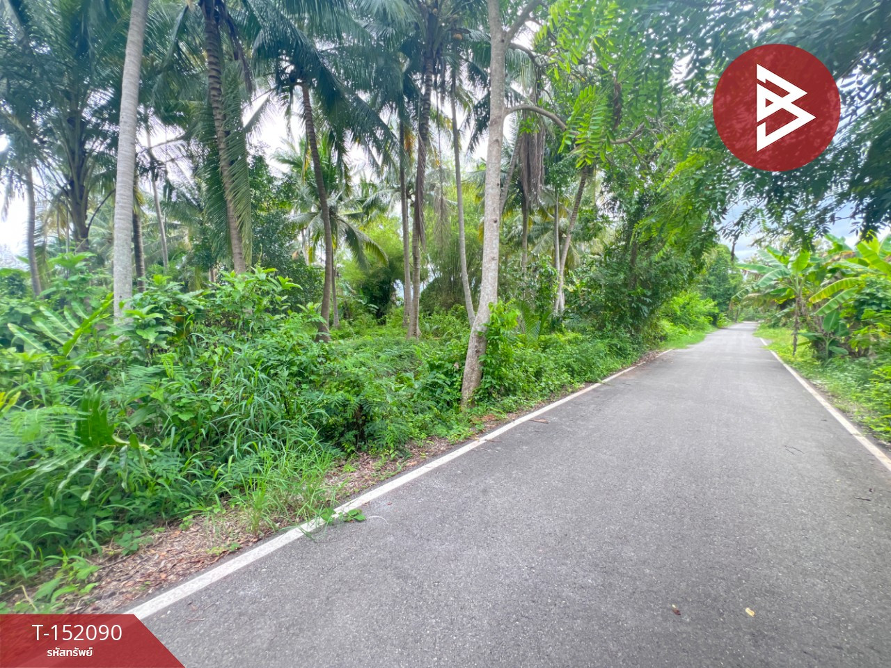Land for sale, area 3 rai 2 ngan 61 sq m, Bang Khonthi, Samut Songkhram. – รูปที่ 3