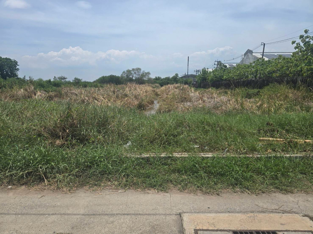 ขาย ที่ดิน แปลงใหญ่ 6 ไร่เศษ หน้ากว้าง 46 เมตร ซอยบางกระดี่ 32 พระราม 2 ถมแล้ว ทำเลดี 6 ไร่ 35 ตรว – รูปที่ 2