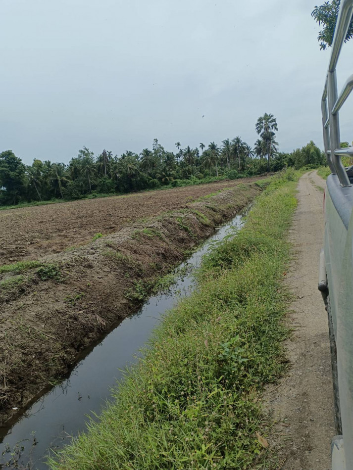 Land for sale 450,000 baht-rai, large plot, still affordable price, has water, has roads on 3 sides, 18 rai 4 ngan 4 sq m. – รูปที่ 2
