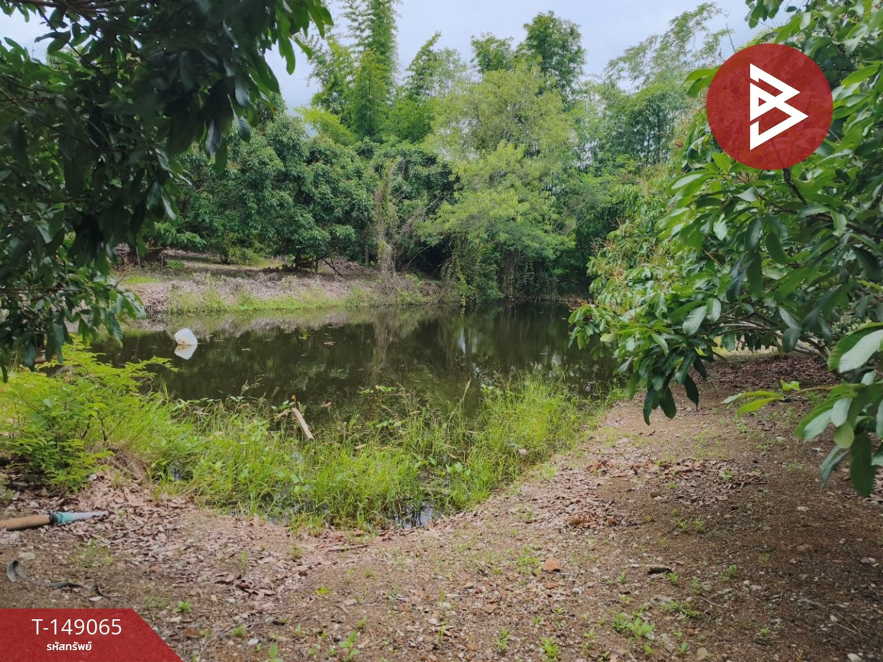 Longan orchard land for sale with resort style wooden house, area 3 rai 21 sq m, Chanthaburi, good location. – รูปที่ 3