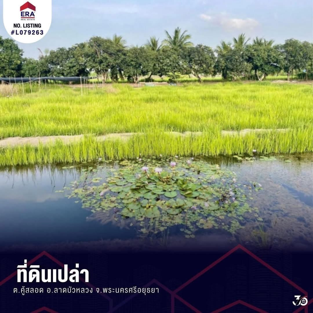 ขายที่ดินเปล่า ต.คู้สลอด อ.ลาดบัวหลวง จ.พระนครศรีอยุธยา ติดร้านอาหารซามูไรโฮม – รูปที่ 2