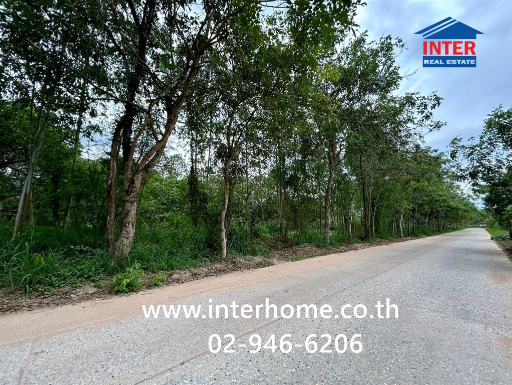 ที่ดินเปล่า 39 ไร่ 328 ตร.ว. ที่ดินเกาะโพธิ์ทำเลดี ซอยปรารถนา ถนนเกาะโพธิ์ ถนนทางหลวงหมายเลข331 เกาะจันทร์ ชลบุรี  – รูปที่ 4
