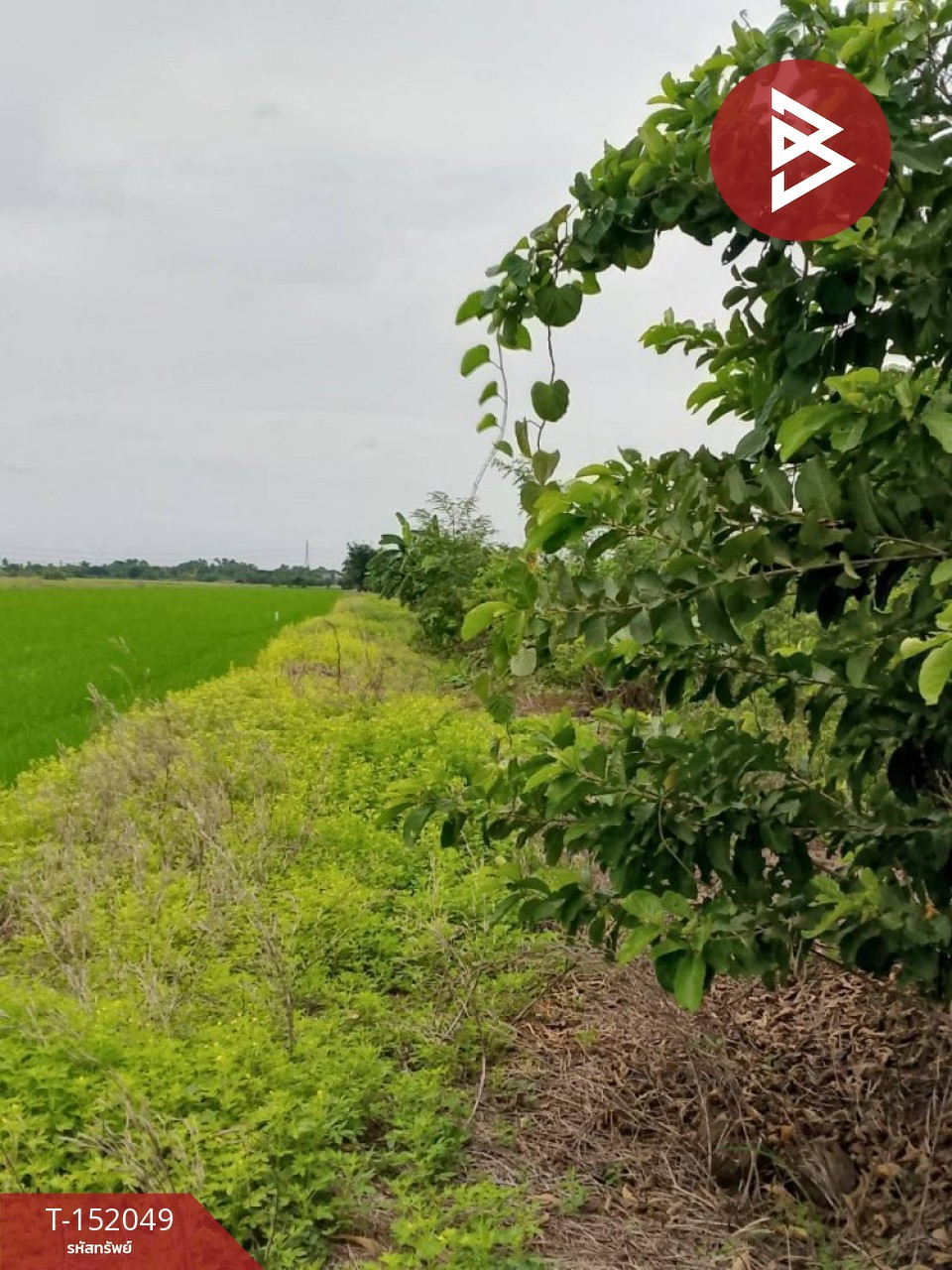 ขายที่ดิน เนื้อที่ 1 ไร่ ราษฎร์นิยม นนทบุรี – รูปที่ 2