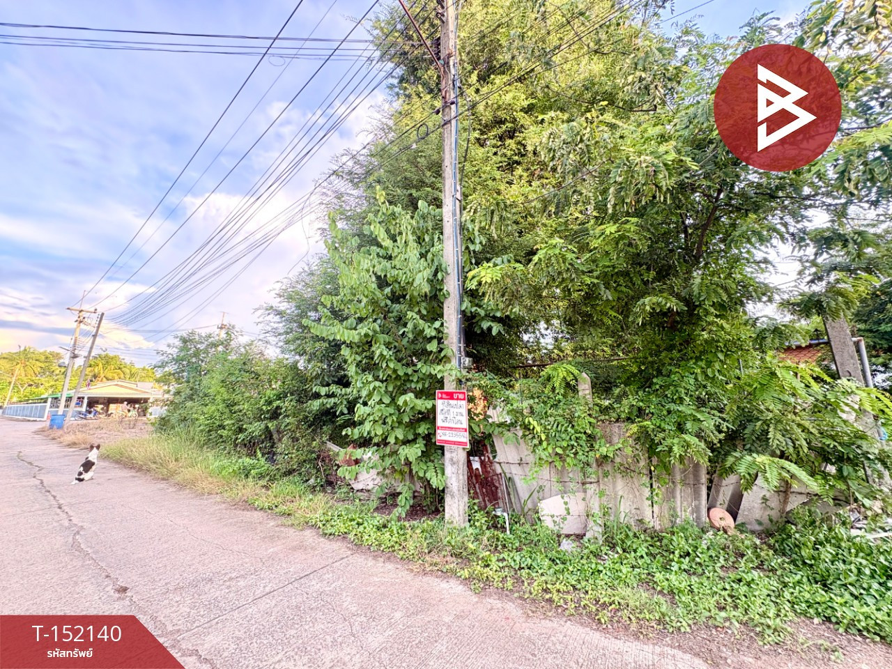 Empty land for sale, area 100 sq m, Soi Thaweechai 6, Takhli, Nakhon Sawan. – รูปที่ 4