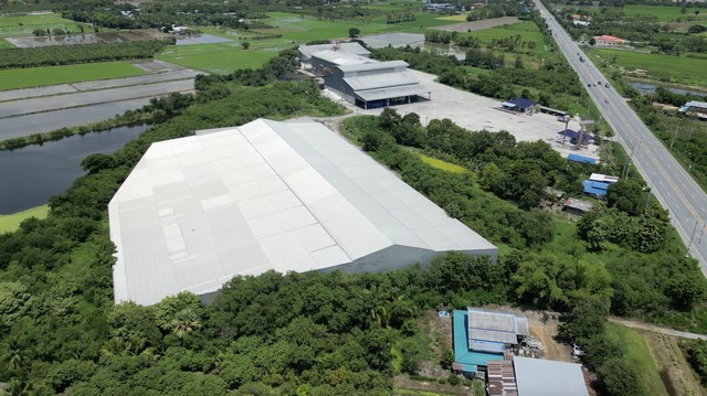 Rice mill business for sale with land next to the main road (Highway 3195), Wiset Chai Chan District, Ang Thong Province | Ready to operate immediately. – รูปที่ 3