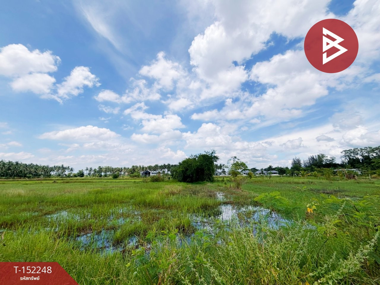 ขายที่ดิน เนื้อที่ 2 งาน 50 ตร.วา เจดีย์หัก ราชบุรี – รูปที่ 2
