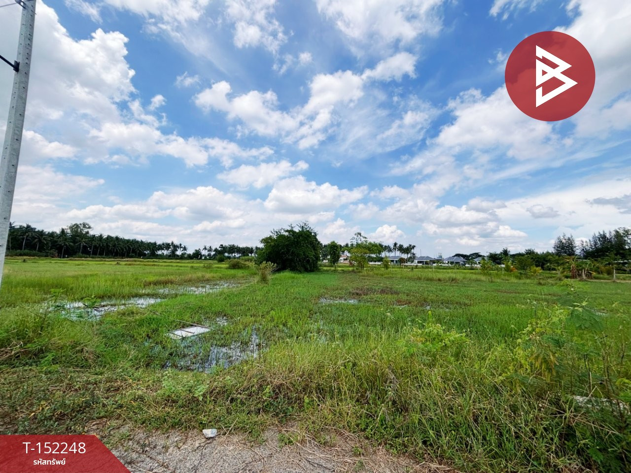 ขายที่ดิน เนื้อที่ 2 งาน 50 ตร.วา เจดีย์หัก ราชบุรี – รูปที่ 3