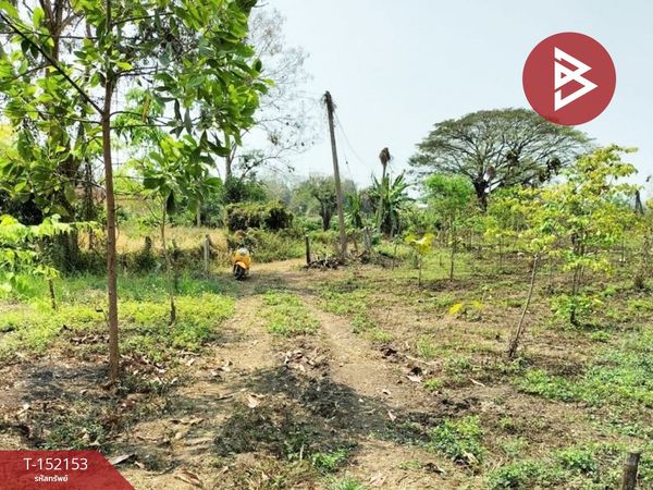 Land for sale, area 6 rai 1 ngan 8 square wa, Chiang Saen District, Chiang Rai Province.