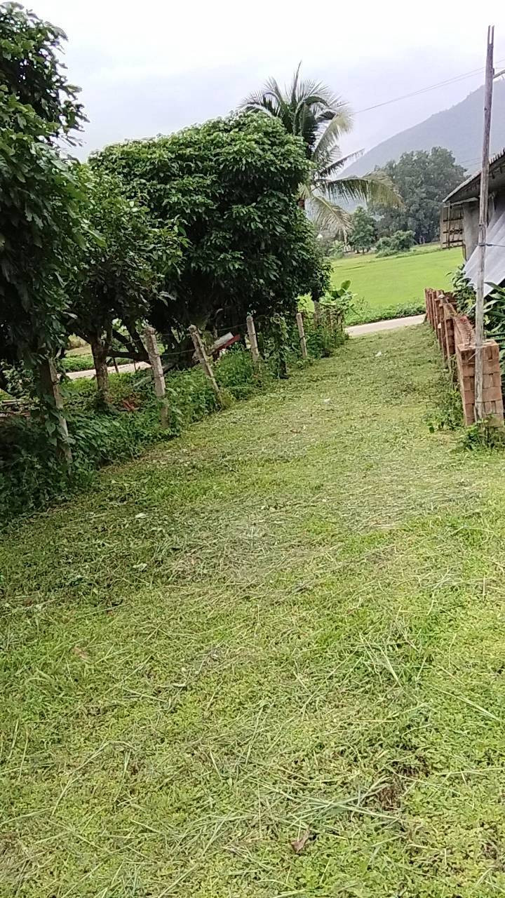 Land for sale, good location near the main road, Phrao District, Chiang Mai Province. – รูปที่ 2