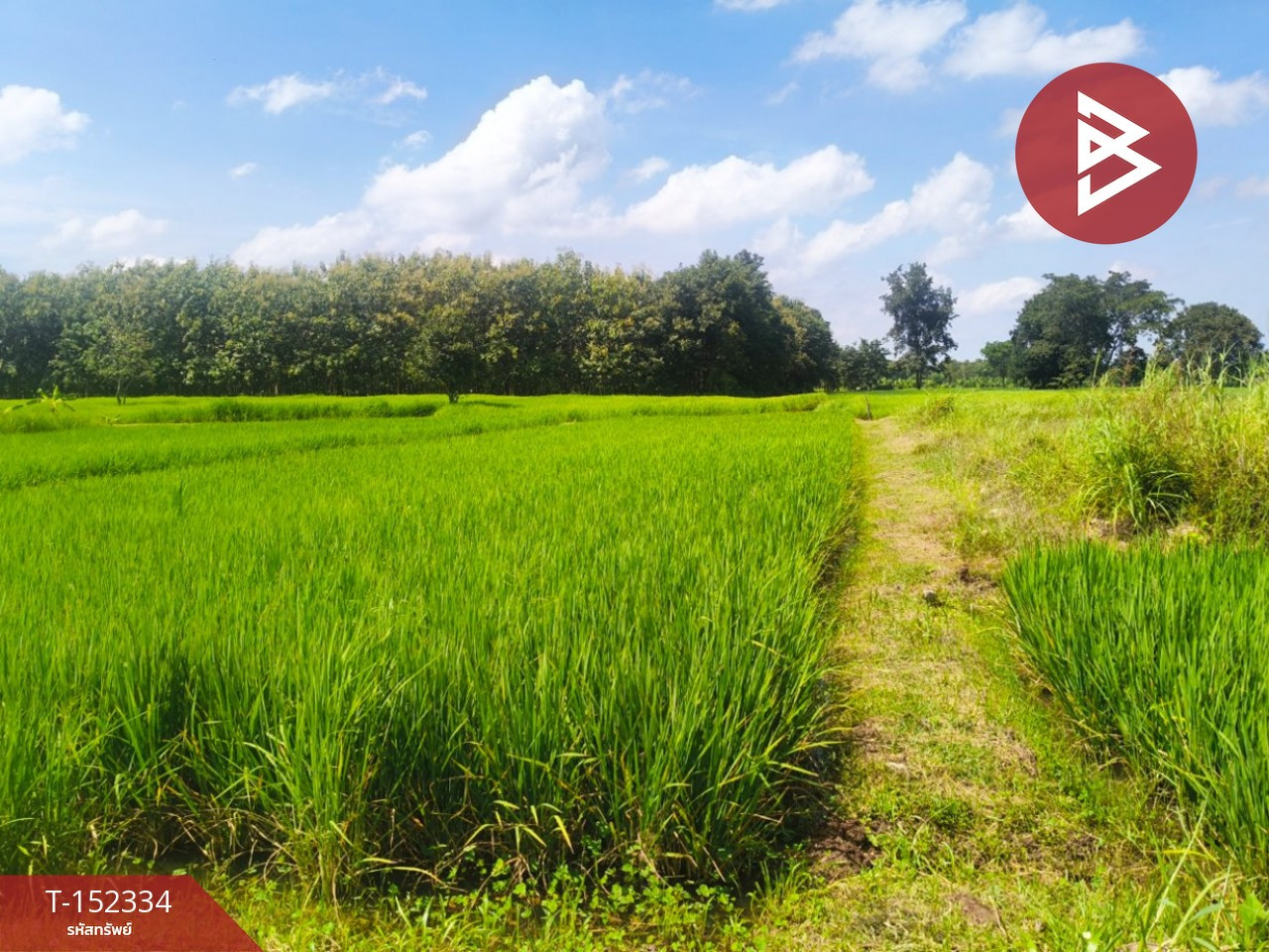 ขายที่ดิน เนื้อที่ 1 ไร่ เมืองเก่า ขอนแก่น – รูปที่ 2
