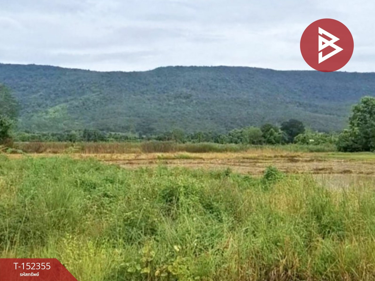 Empty land for sale, area 1 rai, Phan, Chiang Rai. – รูปที่ 2