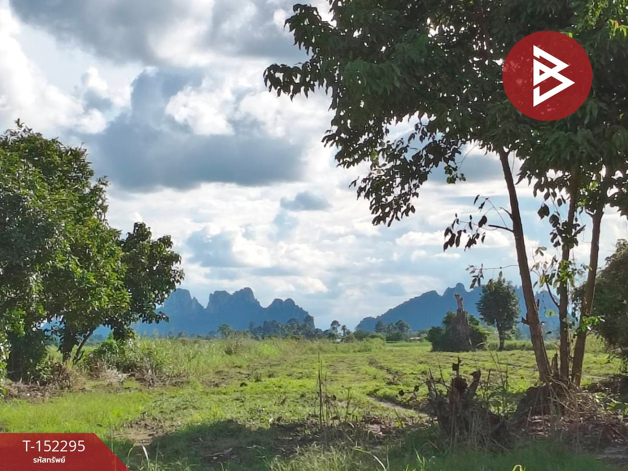 Land for sale, area 9 rai 14 sq m, Banphot Phisai, Nakhon Sawan. – รูปที่ 2