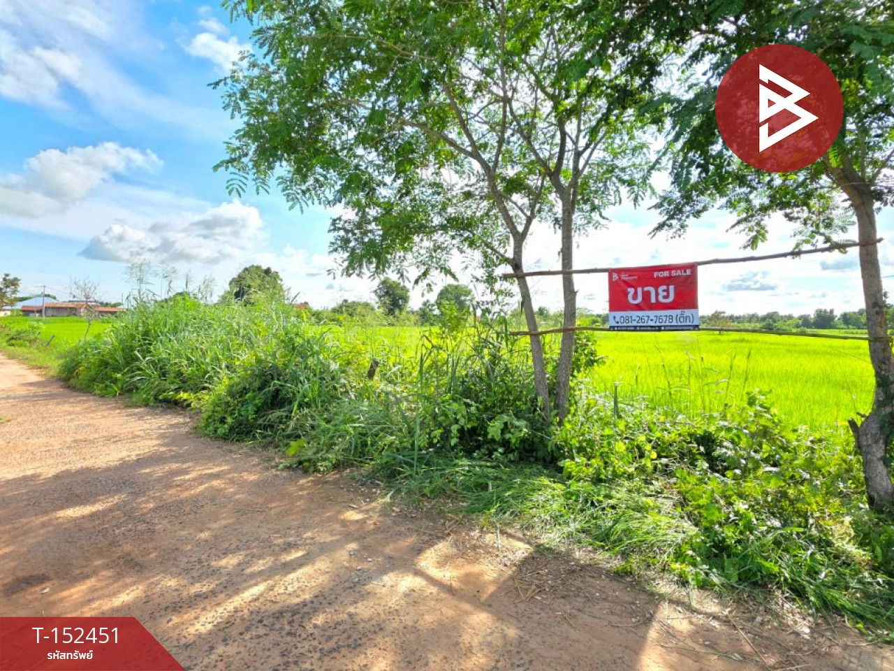 ขายที่ดิน เนื้อที่ 5 ไร่ 1 งาน 53.4 ตร.วา บรบือ มหาสารคาม  – รูปที่ 3