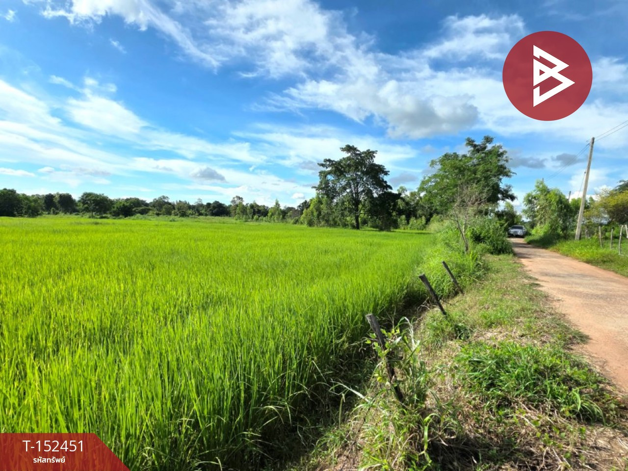 ขายที่ดิน เนื้อที่ 5 ไร่ 1 งาน 53.4 ตร.วา บรบือ มหาสารคาม  – รูปที่ 4