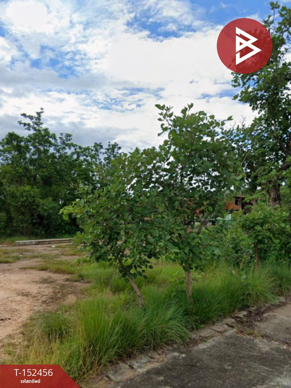 ขายที่ดิน เนื้อที่ 1 งาน 13 ตร.วา บ้านธิ ลำพูน – รูปที่ 2