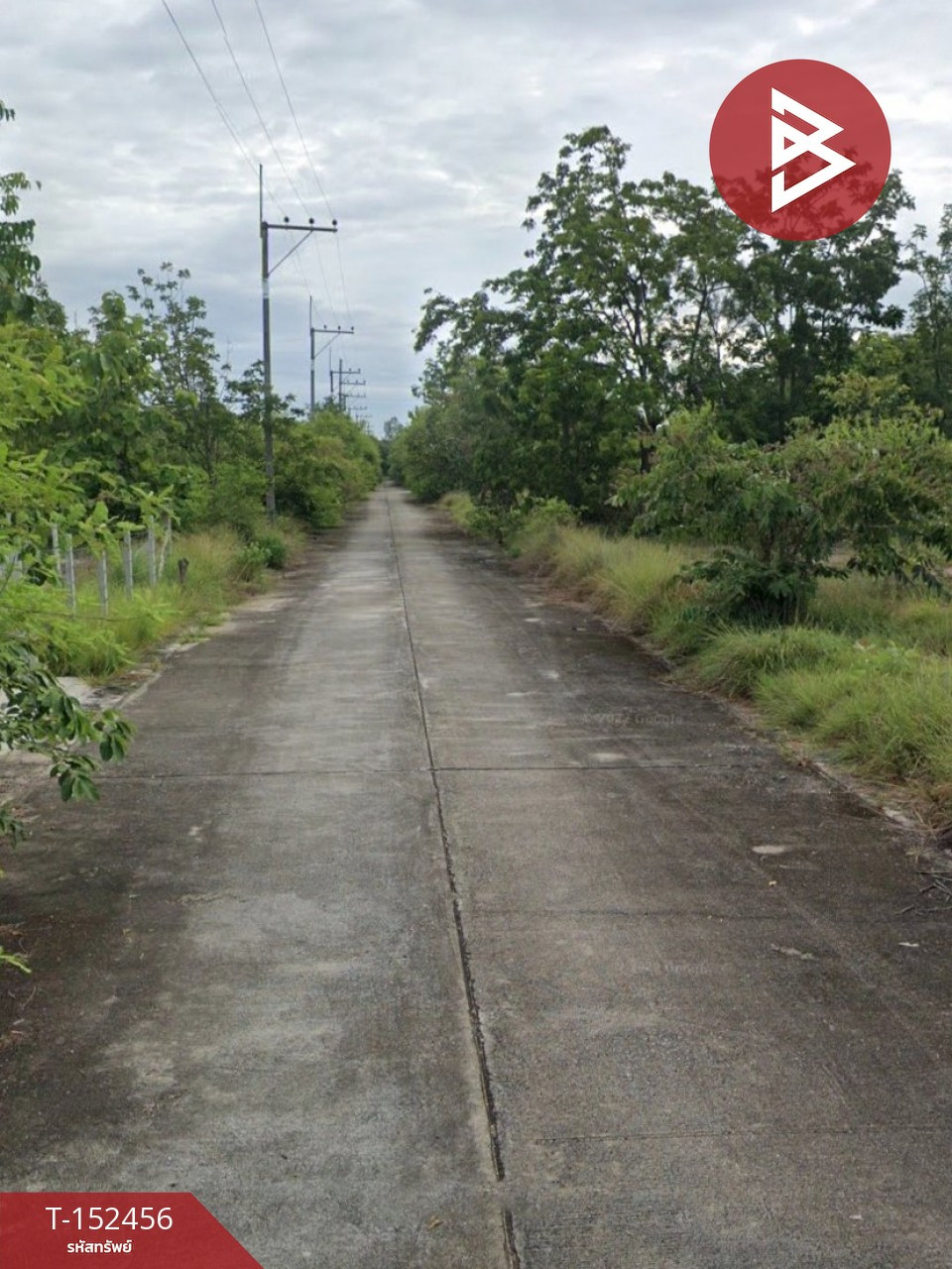 ขายที่ดิน เนื้อที่ 1 งาน 13 ตร.วา บ้านธิ ลำพูน – รูปที่ 4