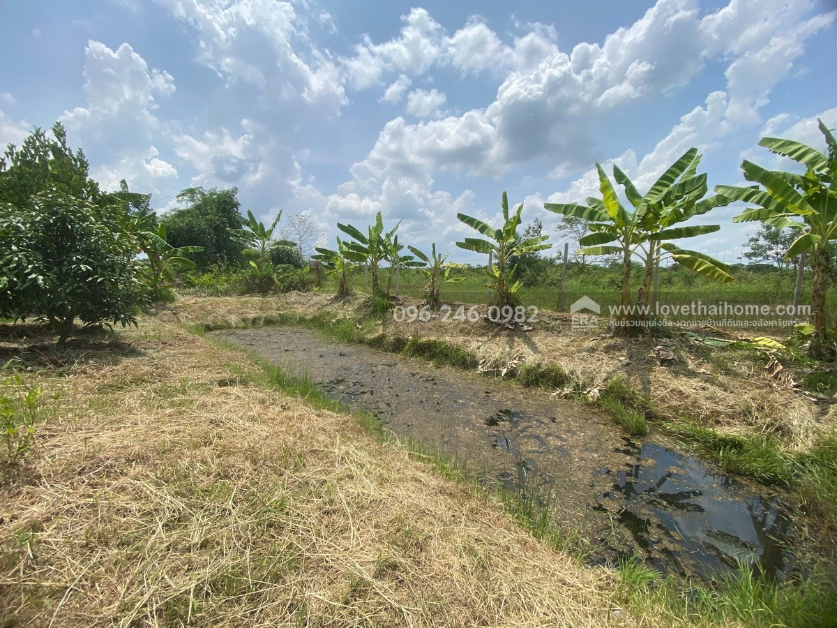Land for sale already filled Rangsit-Liap Khlong 12, Nong Suea, Pathum Thani, area 200 sq m, selling for 6,500 baht/sq m. Can garden and build a residence. – รูปที่ 3