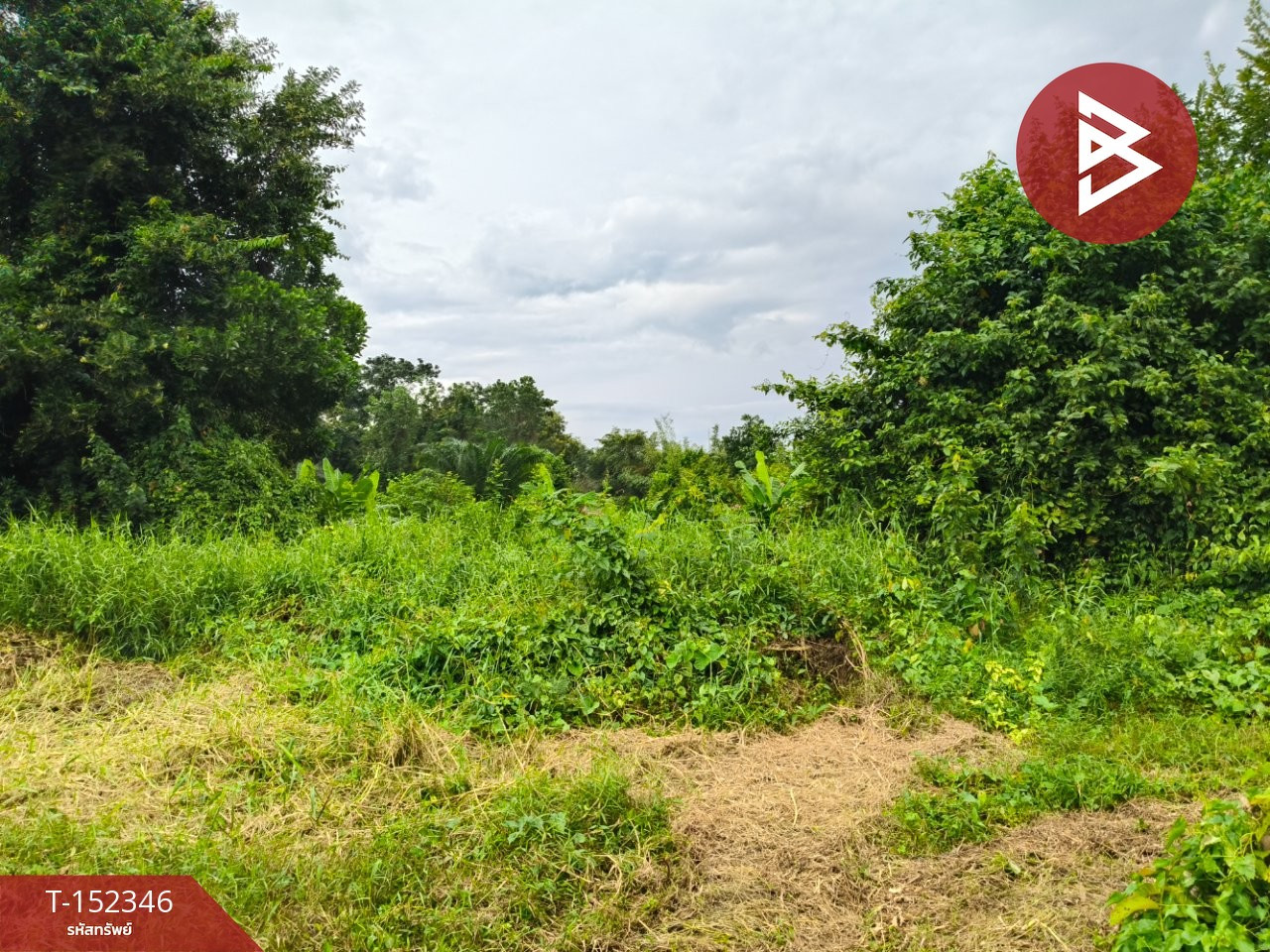 Land for sale, area 1 rai 66.2 sq m, Klaeng, Rayong. – รูปที่ 4