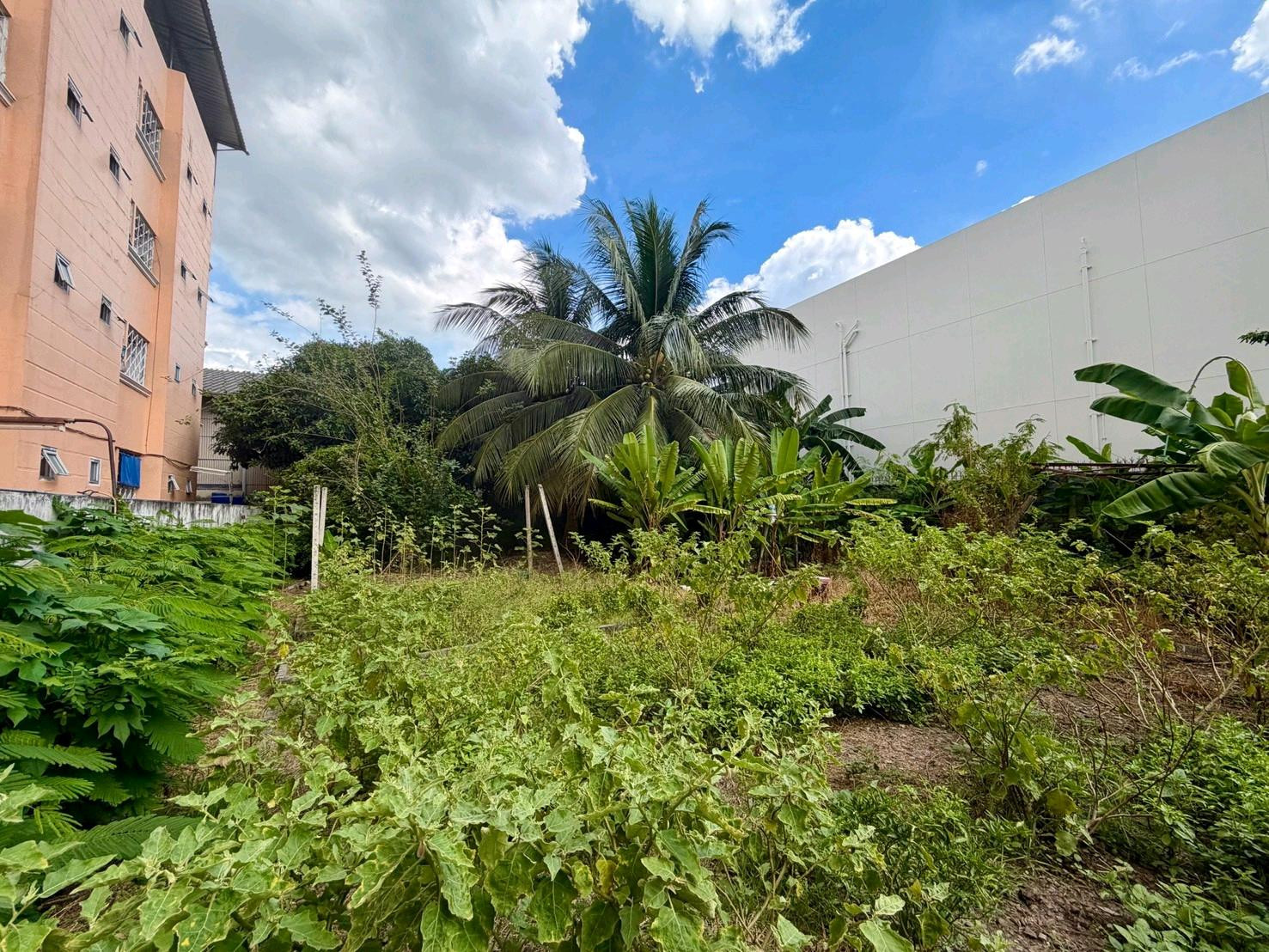 Land for sale, Ramintra 23, 199 sq. wah, 23 million baht. 20 m. wide, 39.5 m. deep. Good location, near BTS Lat Pla Khao. – รูปที่ 4