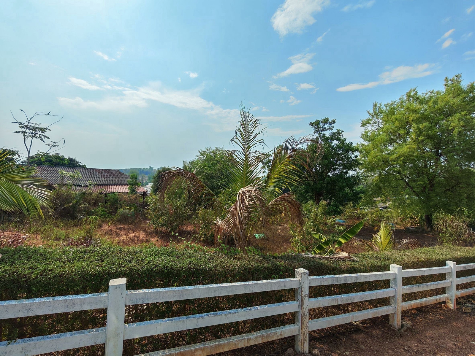 🔥 [Urgent! Land in prime location, special price] Close to Phayao University, only 2 km. Suitable for building a dormitory - residential house 🔥 – รูปที่ 4