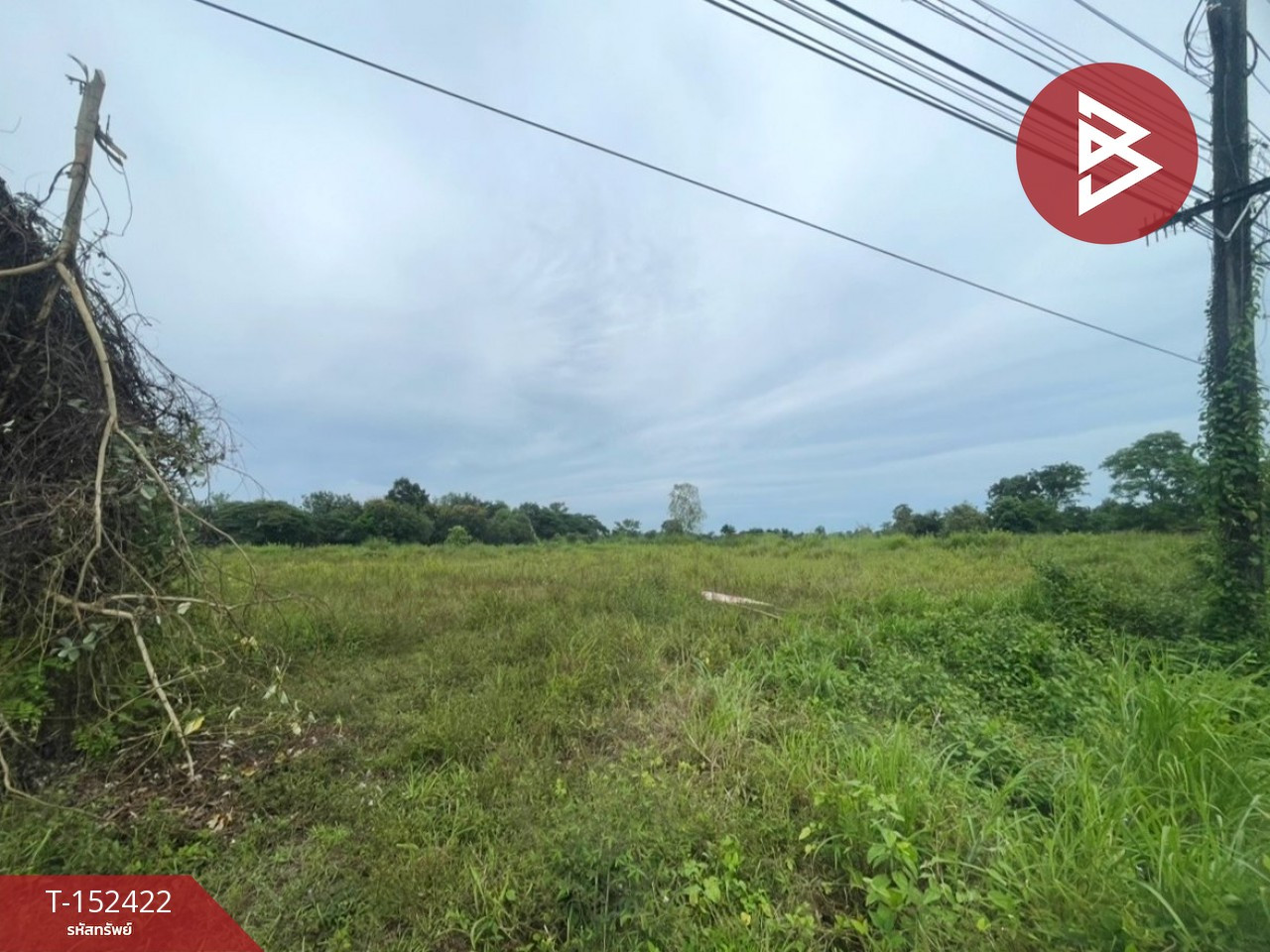 Land for sale, area 9 rai, Phanna Nikhom, Sakon Nakhon Land for sale, area 9 rai, Phanna Nikhom, Sakon Nakhon